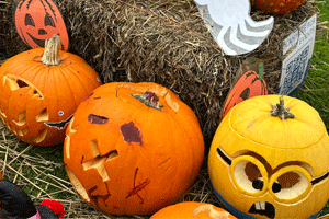Carved pumpkins